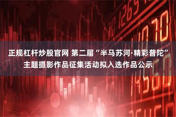 正规杠杆炒股官网 第二届“半马苏河·精彩普陀”主题摄影作品征集活动拟入选作品公示