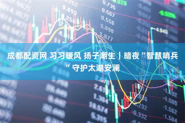 成都配资网 习习暖风 扬子潮生｜暗夜“智慧哨兵”守护太湖安澜